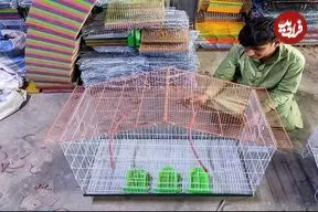 مراحل تولید قفس پرنده در کارگاهی در پاکستان