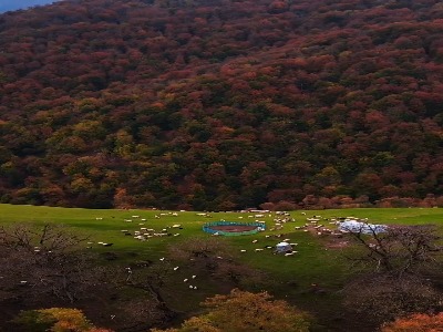 مسیر زیبای پونل به خلخال