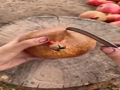 انار رو اینطوری برش بزنید!