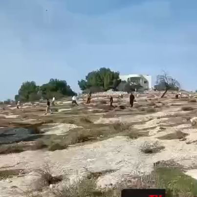 لحظه یورش شهرک‌نشینان اسرائیلی به جنوب کرانه باختری که به زخمی شدن دست کم ۱۰ فلسطینی منجر شد