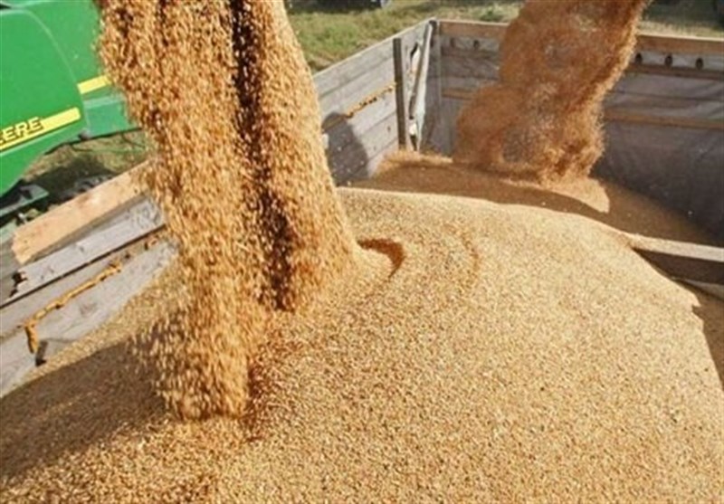 قیمت خرید تضمینی جو و ذرت تعیین شد