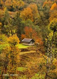 طبیعت بکر در دل جنگل های پاییزی گیلان