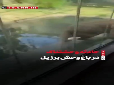 حادثه وحشتناک در باغ‌وحش برزیل