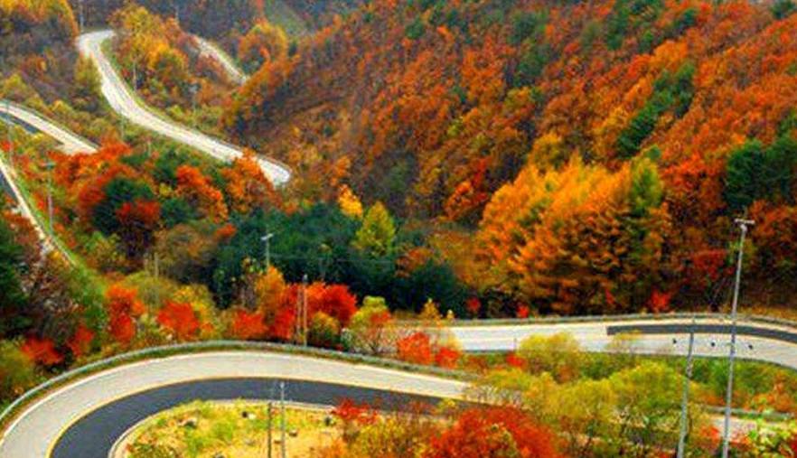 پاییز فندقلو