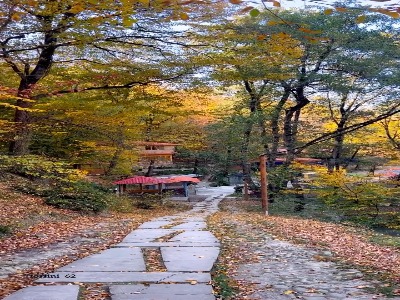 پارک جنگلی نسوم سوادکوه