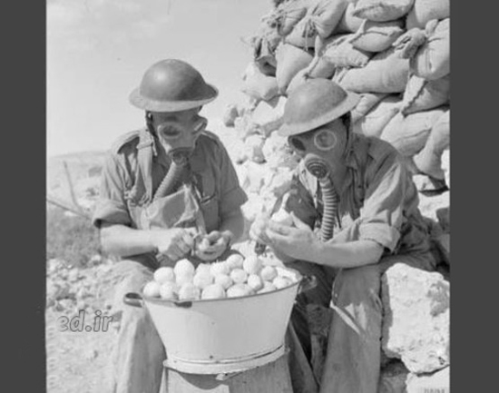 ایران پرسمان