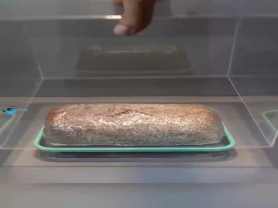 تایم‌ لپس رشد قارچ گانودرما