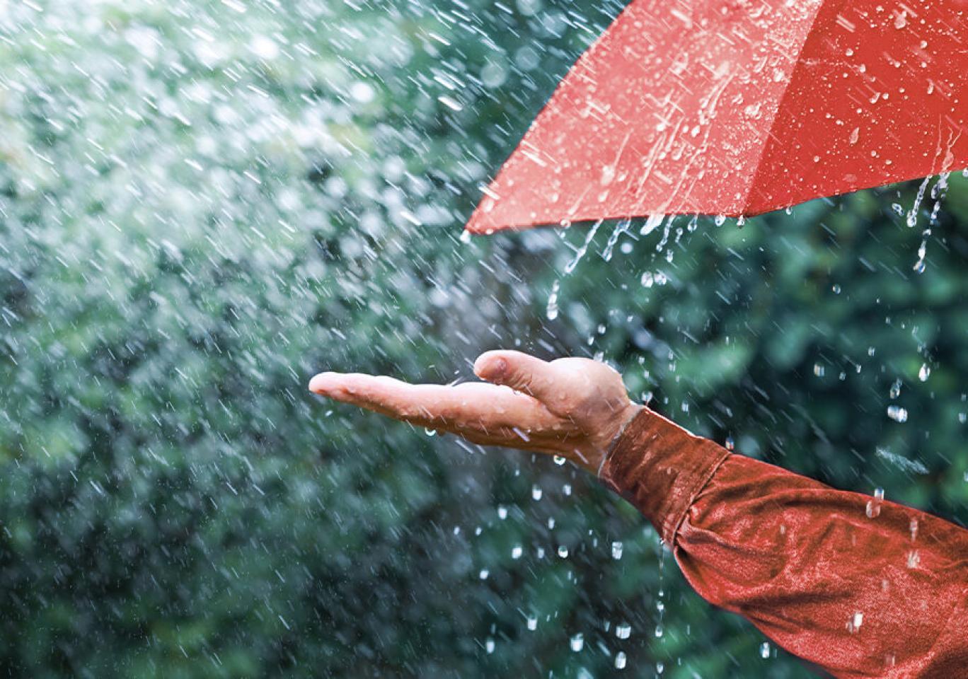 بارش باران صبحگاهی در تهران