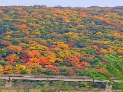 مسیر امامزاده هاشم به رودبار
