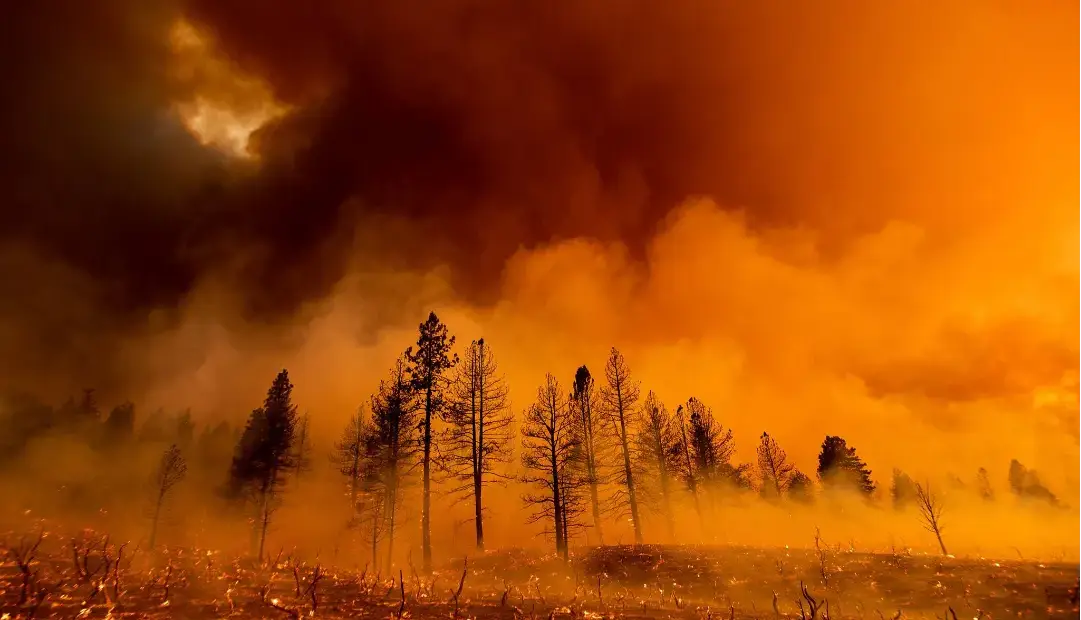 گرمایش زمین همچنان توقف‌ناپذیر؛ 2025 دومین سال گرم ثبت‌شده در تاریخ بود