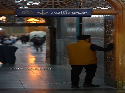 استوری/ هر پادشه که ضامن آهو نمیشود...