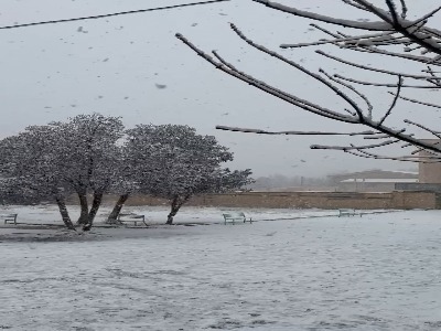 چه برفی میباره شهرکرد !