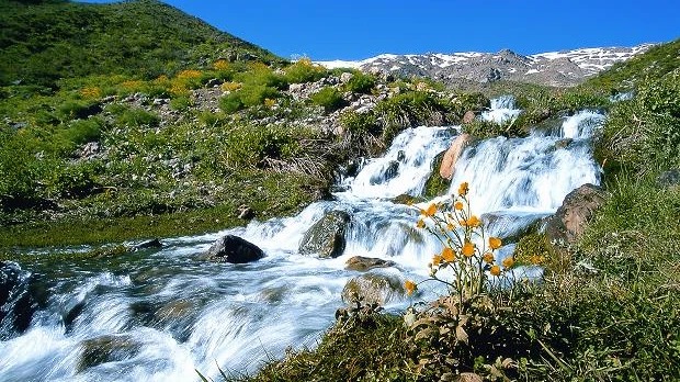 چشمه میشی سی سخت