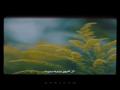 خدا را شکر کنید ولی مغرور نشوید!