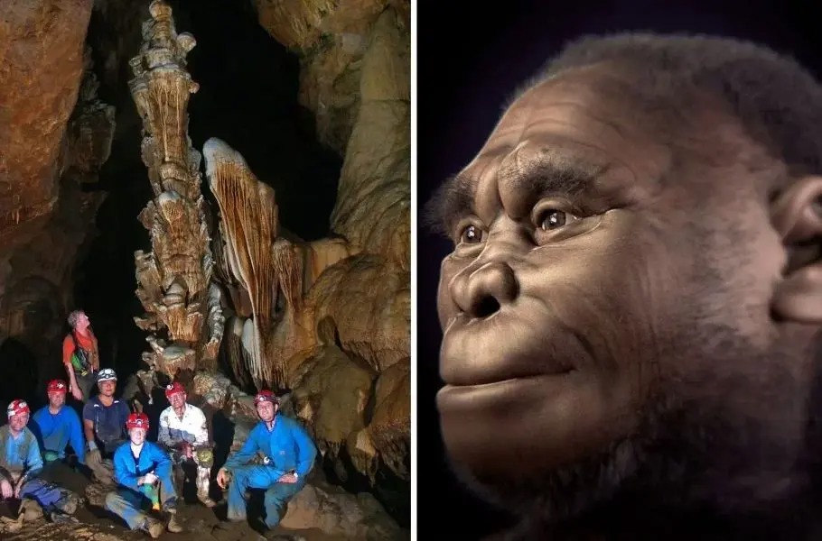 انسانهای هابیتی ۶۱ هزار سال پیش بر اثر خشکسالی به‌ سمت انقراض رفتند