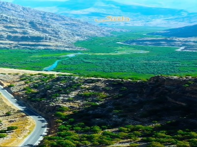 بزرگترین تاکستان طبیعی ایران