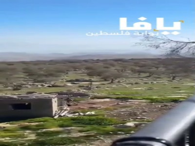 یورش اوباش صهیونیست به همراه‌ دام‌هایشان به مزارع فلسطینیان