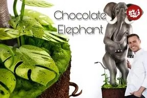 مراحل درست کردن یک فیل دو متری با شکلات به روش قناد ماهر آمریکایی