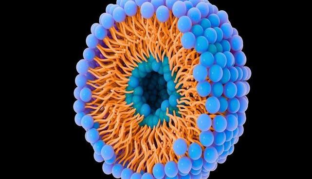 کمک حباب‌ها به سرطان برای حمله و توقف!