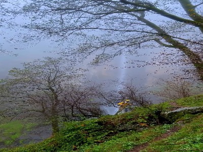 لاتون ، بلندترین آبشار خاور میانه