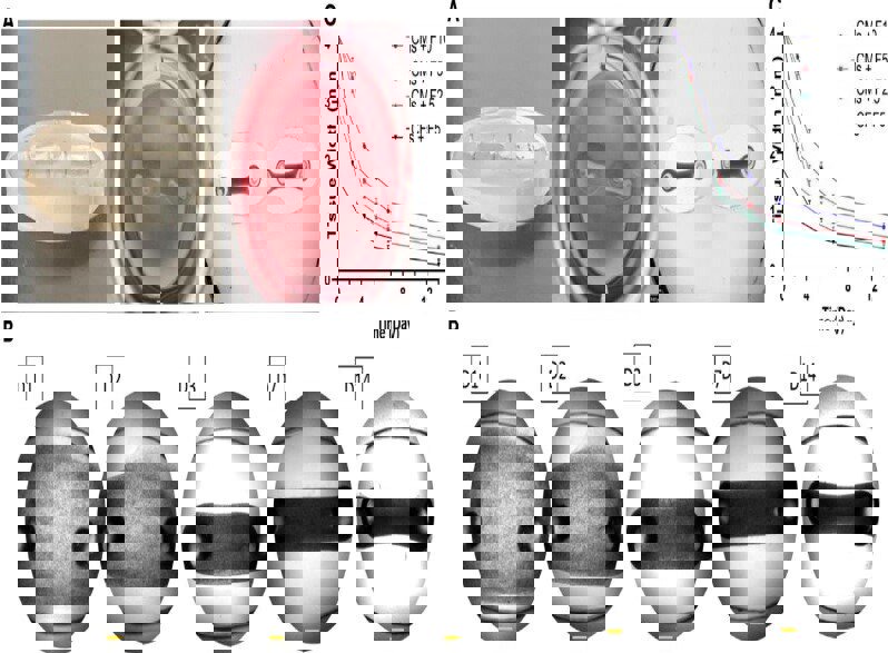 محقق ایرانی موفق به ابداع «بافت سه‌بعدی قلب» شد