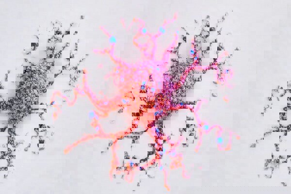 امیدهای تازه‌ برای درمان سرطان‌های مغزی