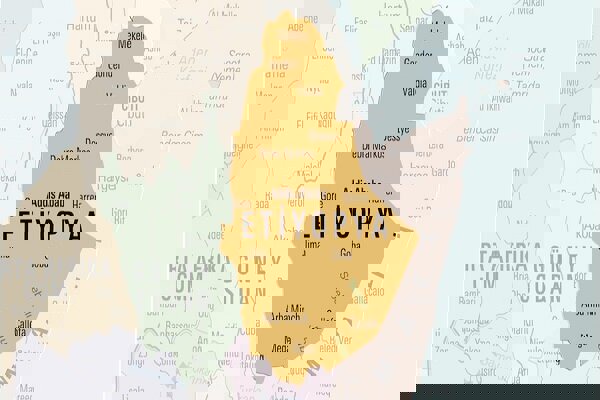 آدیس‌آبابا: اریتره رسما خاک اتیوپی را اشغال کرده است