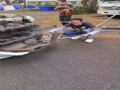 کشف شاه کبرای چهار متری در موتور یک وانت در تایلند