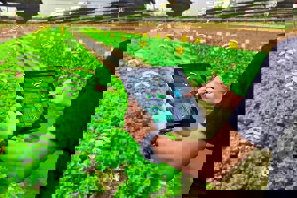 دستیار هوش مصنوعی محیط زیست در فاز «هوش تجاری» قرار گرفت