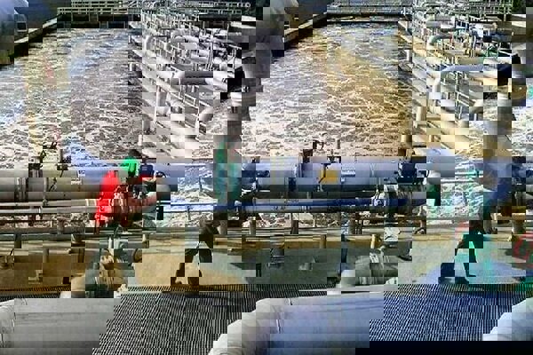 تبدیل ضایعات چوب به جاذب تصفیه پساب‌های صنعتی در دانشگاه آزاد شهرری