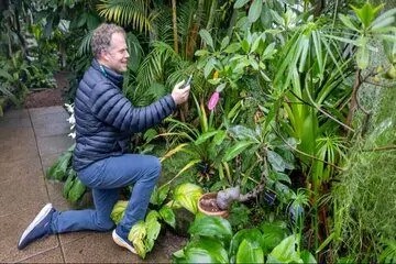 گفتگو با گیاهان ممکن شد