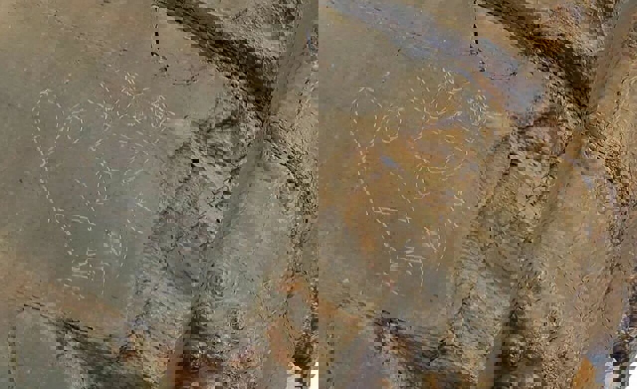 ریشه یادگاری‌نویسی روی تاریخ کجاست؟/دنیا با میراث تاریخی‌اش شوخی ندارد