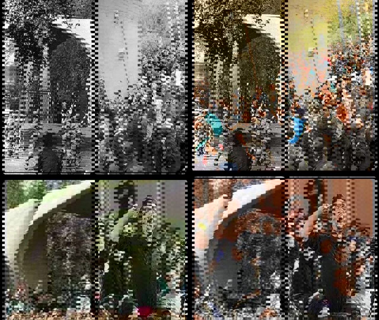 آیا دانشجویان سطحی‌نگر شده‌اند؟/ جای «تربیت تحلیل» در دانشگاه خالی است