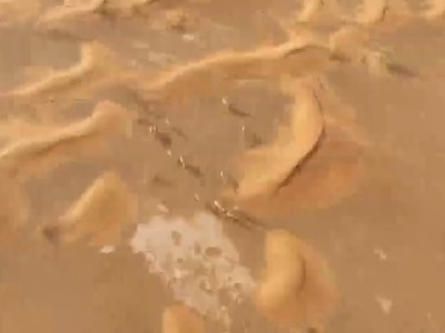 «المدام»؛روستای متروکه و اسرارآمیز دبی