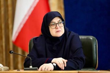 واکنش سخنگوی دولت به اتصال اینترنت بین‌الملل