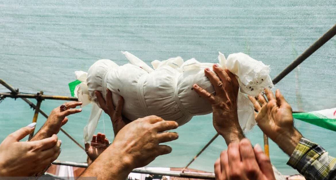 وقتی تاریخ دوباره خون گریست/ تیر بر گلو و موشک بر گهواره