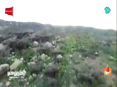 ویدیویی زیبا از دشت لاله‌های واژگون در دامنه آبشار مارگون | آخرین خبر