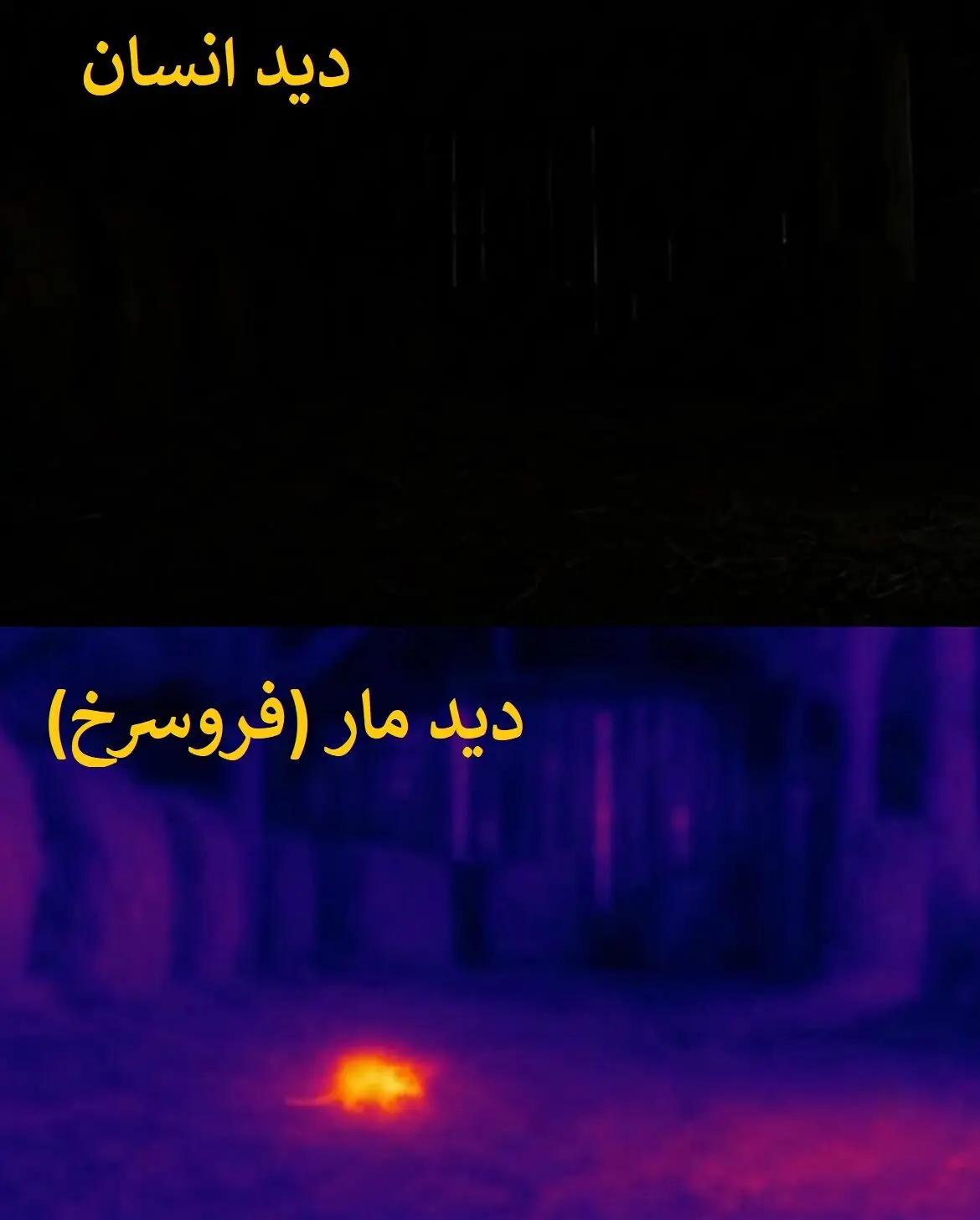 ایران پرسمان
