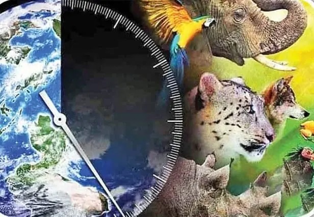 این دو اتفاق می تواند تا ۱۰۰ سال دیگر نسل بشر را منقرض کند